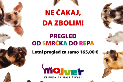 Pregled od smrčka do repa