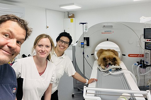 Računalniška tomografija ali CT slikanje