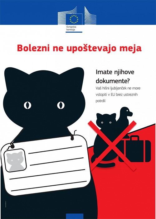 Potovanje s psom, mačkom ali belim dihurjem
