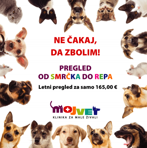 Pregled od smrčka do repa